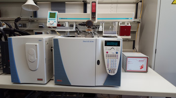 Pyrolyse-Gaschromatographie/Massenspektrometrie