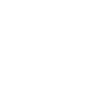 Polymerservice Merseburg logo